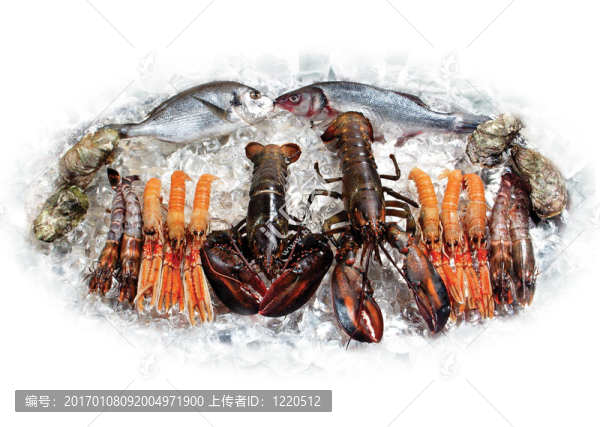 龍蝦和魚