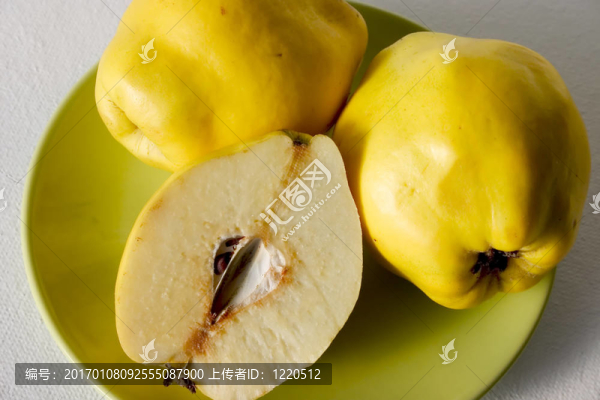 在板的榅桲