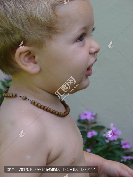 簡(jiǎn)況