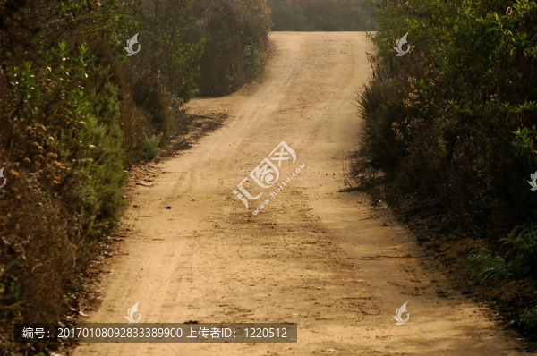 有霧的蹤跡