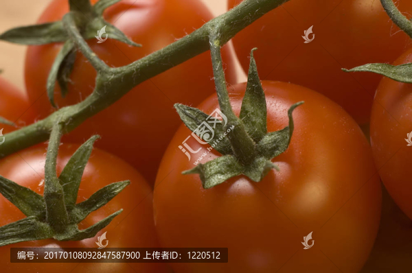番茄