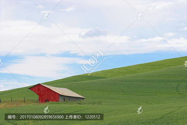 田間紅谷倉