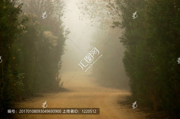 有霧的蹤跡