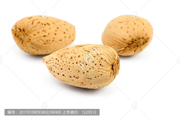 杏樹(shù)