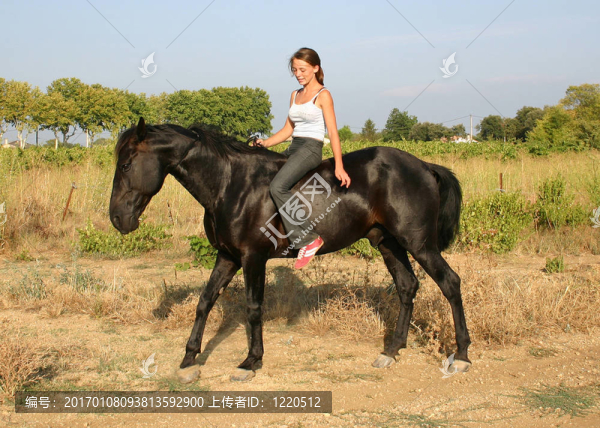 女孩和黑色的馬