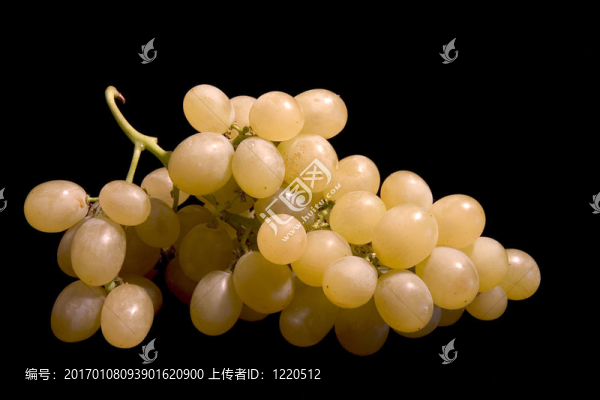 白葡萄
