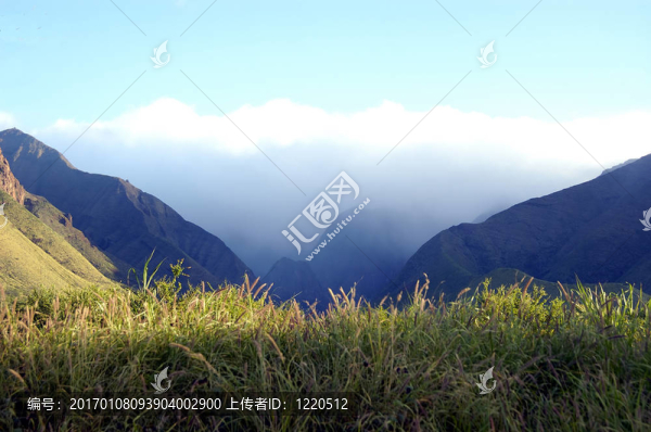 熱帶的鄉(xiāng)村