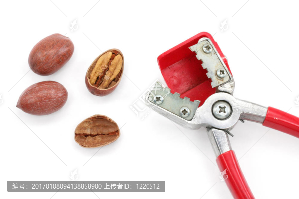 胡桃夾子和堅果