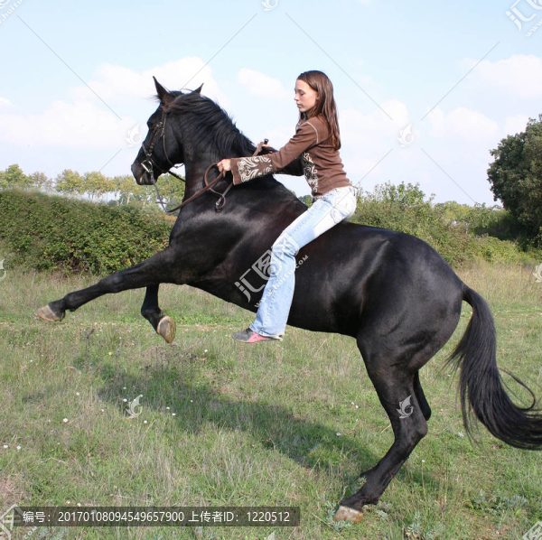 青少年運(yùn)動(dòng)騎-匯圖網(wǎng) www.fosd68.com 青少年運(yùn)動(dòng)騎