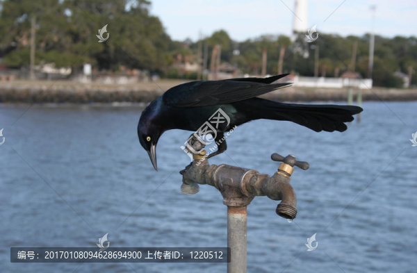 等水
