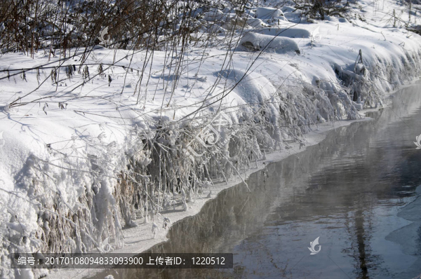 小溪的白雪覆蓋的河岸