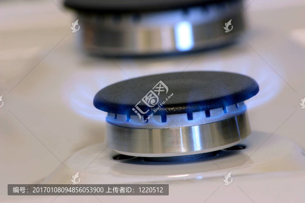 小型燃?xì)馊紵? title=