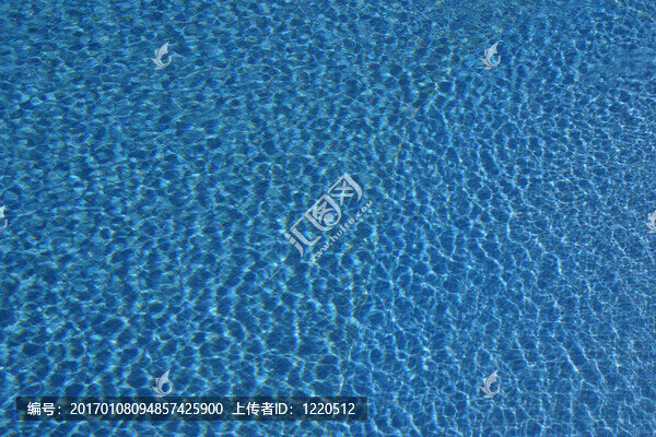 游泳池的水