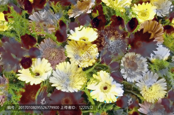 花香類
