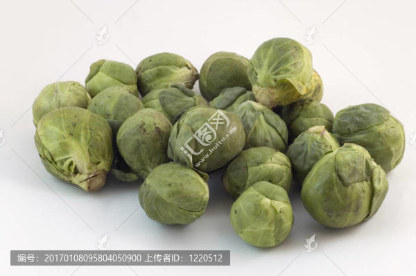 生豆芽