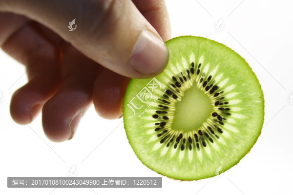 一片獼猴桃
