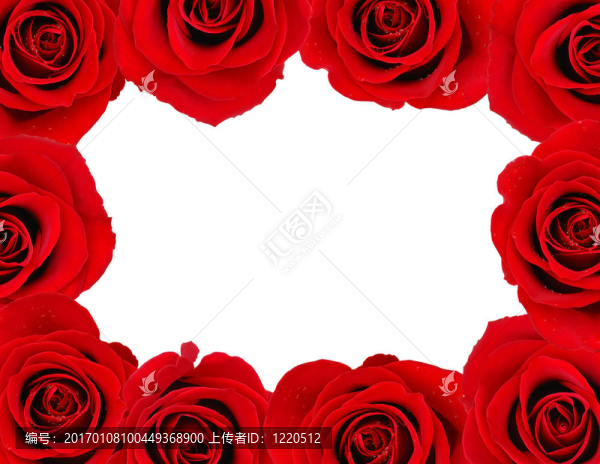 薔薇架