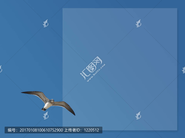 海鷗1箱