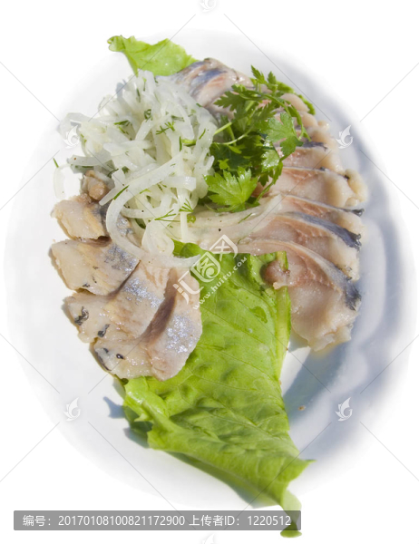 鯡魚