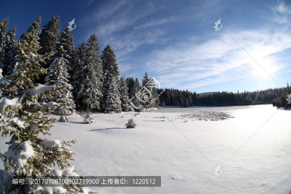 雪景觀