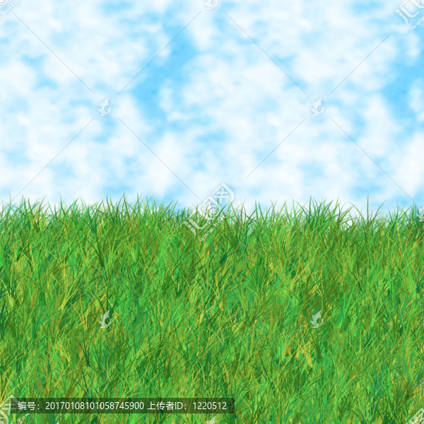 草的天空