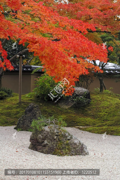秋天的日本花園
