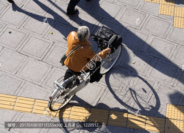 城市的陰影