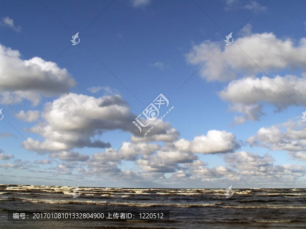 海
