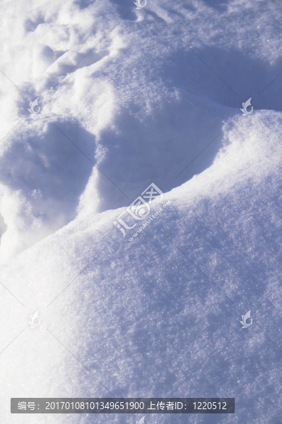 雪景