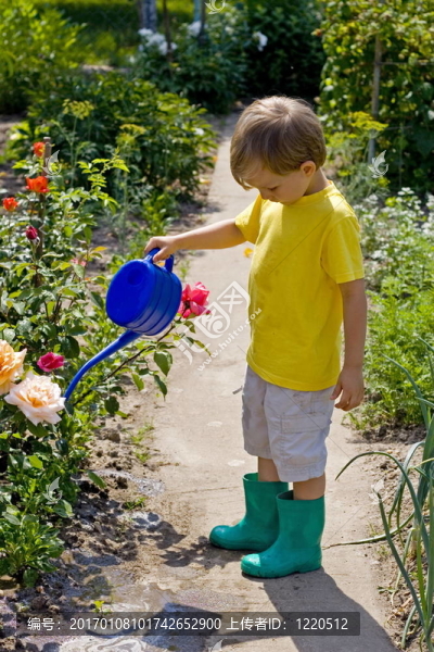 男孩在花園里-匯圖網(wǎng) www.fosd68.com 男孩在花園里