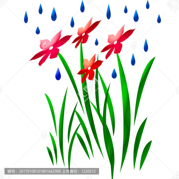雨的花