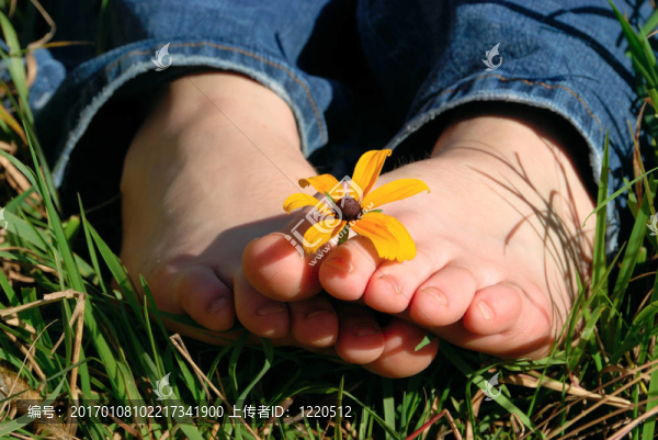 腳趾的手捧花-匯圖網(wǎng) www.fosd68.com 腳趾的手捧花