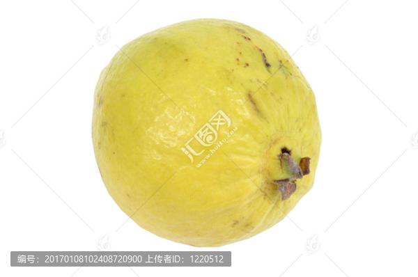 番石榴