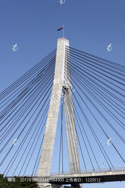 橋塔