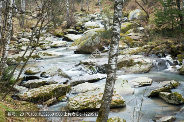 別洛庫(kù)里哈河。