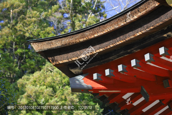 日本寺廟的屋頂