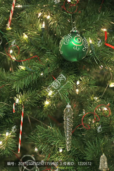 綠色裝修-匯圖網(wǎng) www.fosd68.com 綠色裝修