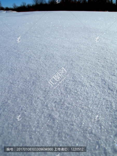 雪毯-匯圖網(wǎng) www.fosd68.com 雪毯