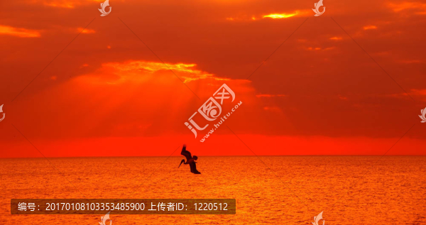 海洋日落