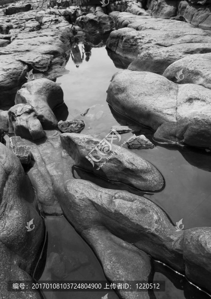 被忽視的-匯圖網(wǎng) www.fosd68.com 被忽視的