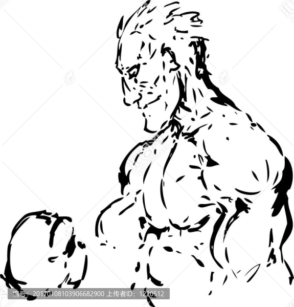 Boxer的素描