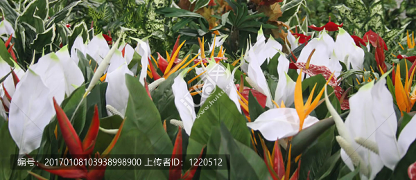 絲花