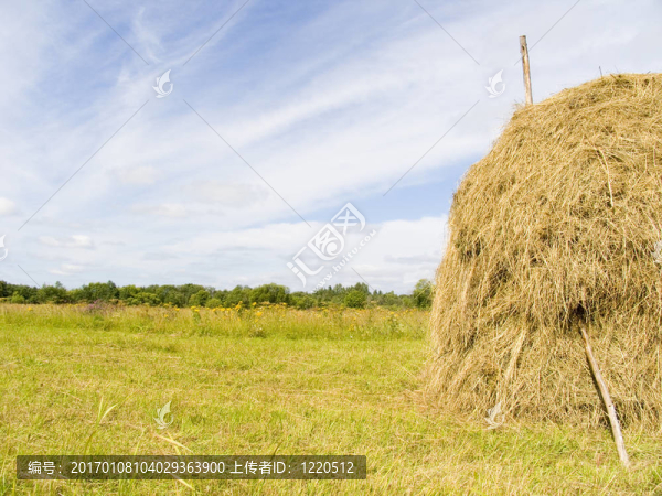 夏天的風(fēng)景