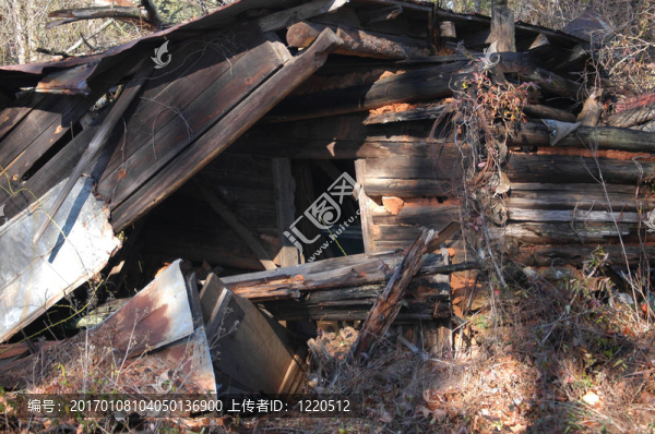 簡陋的小屋