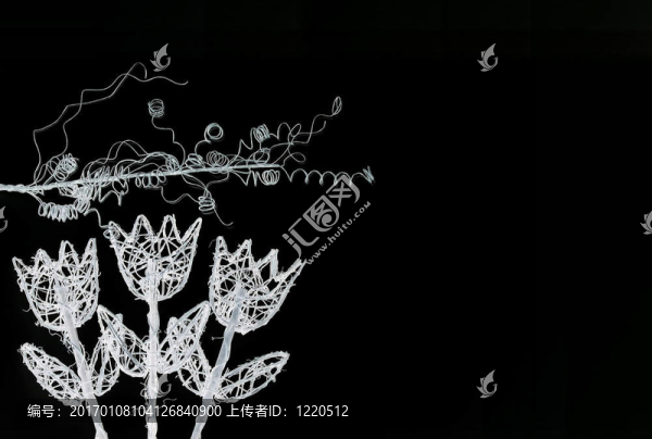 白色的花