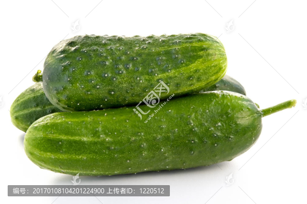 成熟的綠黃瓜