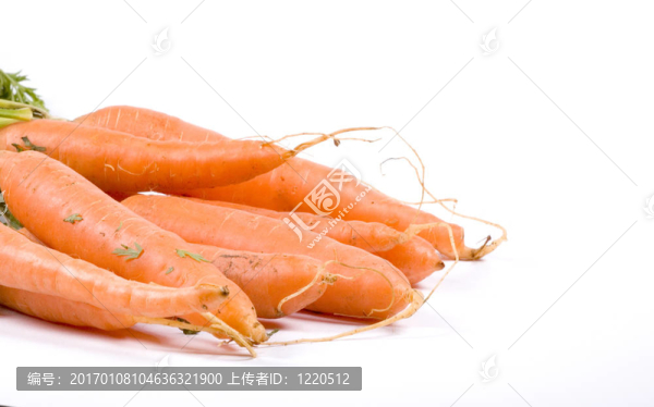 胡蘿卜