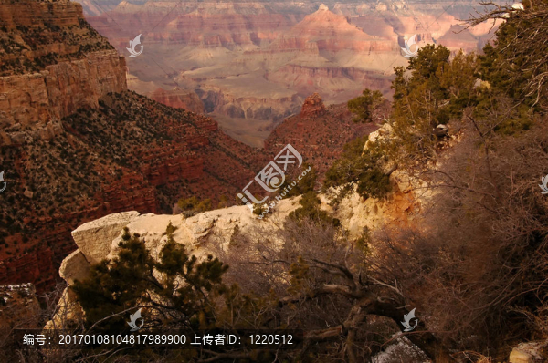 大峽谷