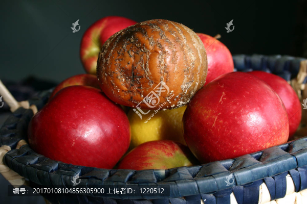 一個(gè)壞蘋(píng)果