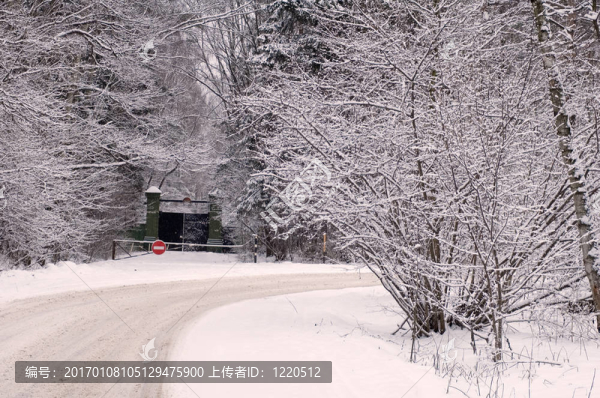 雪道